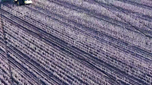 Aerial of Planting 239071