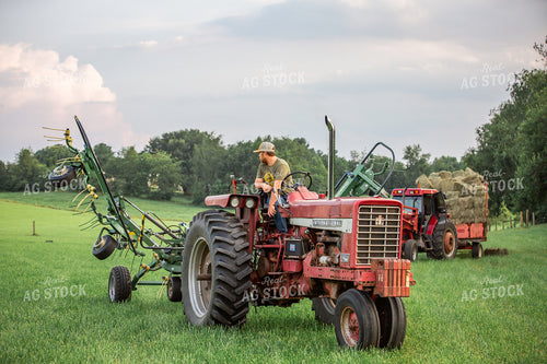 Raking Hay 270599