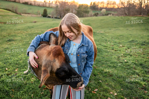 Farm Kid with Show Cattle 270133