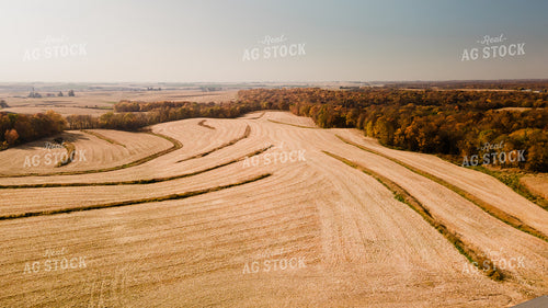 Rural Harvest Scene 9517
