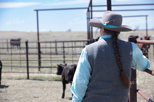 Working Cattle 117302