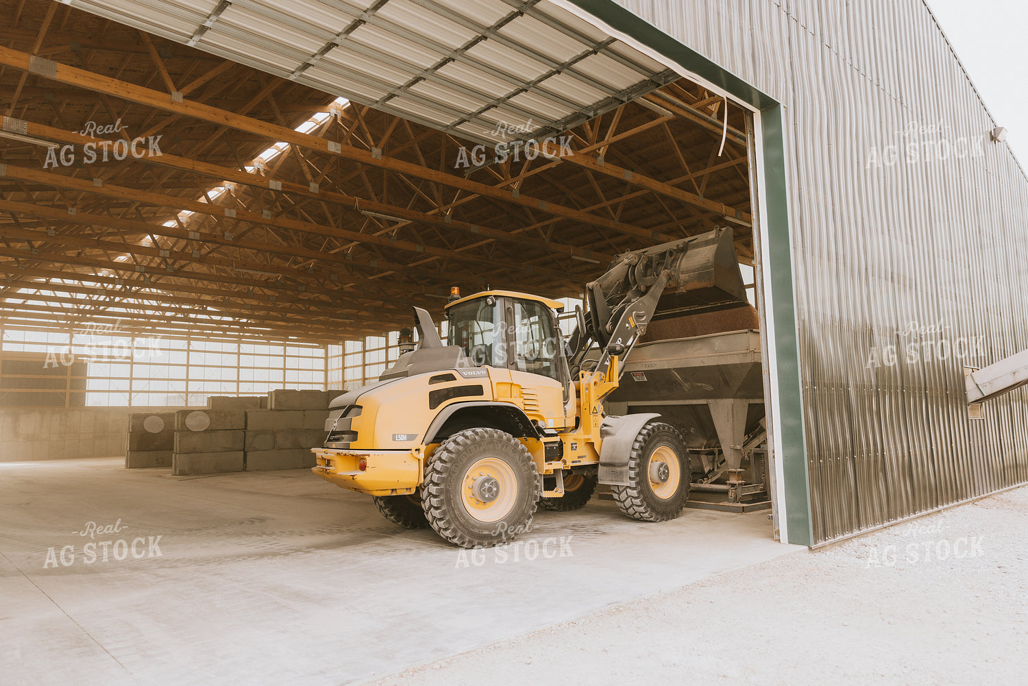 Tractor Dumps Dry Feed in Storage Shed 7522