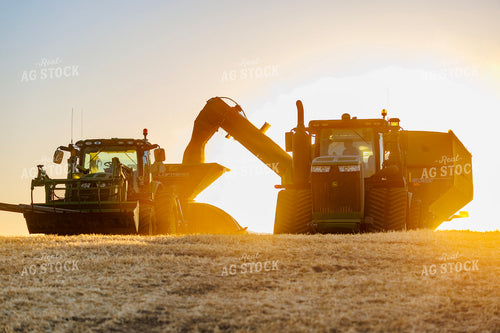 Wheat Harvest 187320