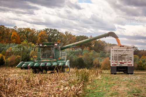 Corn Harvest 270657