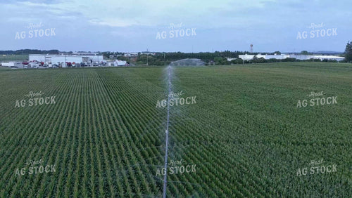 Aerial of Irrigation Pivot Over Green Corn Field 79212