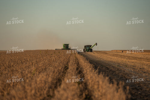Soybean Harvest 274024