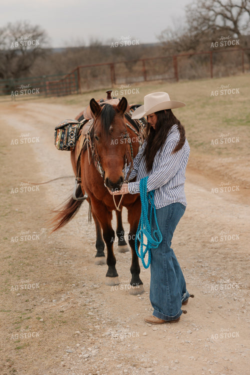 Horses Saddled for Trail Ride 205135
