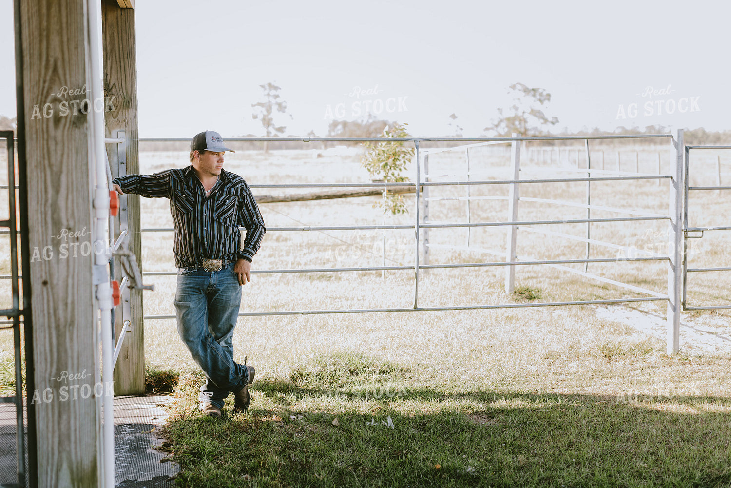Male Rancher in Pasture 7309