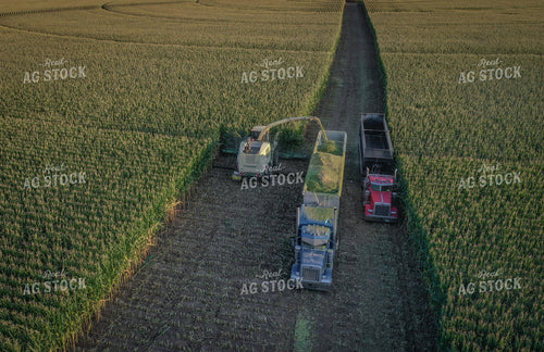 Silage Harvest Drone 56240