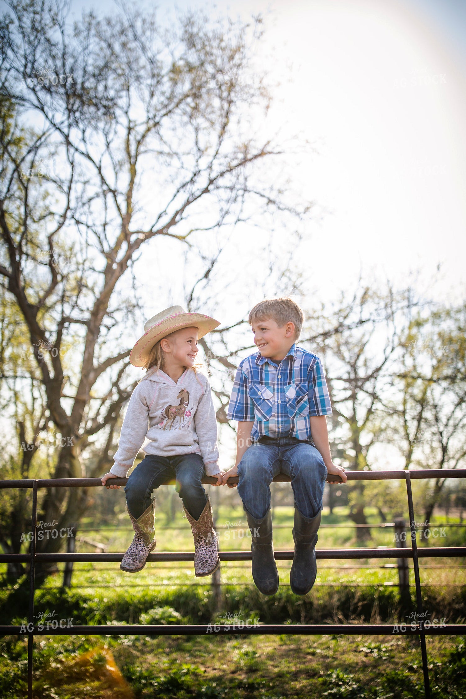 Ranch Children on Farm 285040