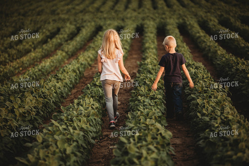 Farm Kids in Soybean Field 4564