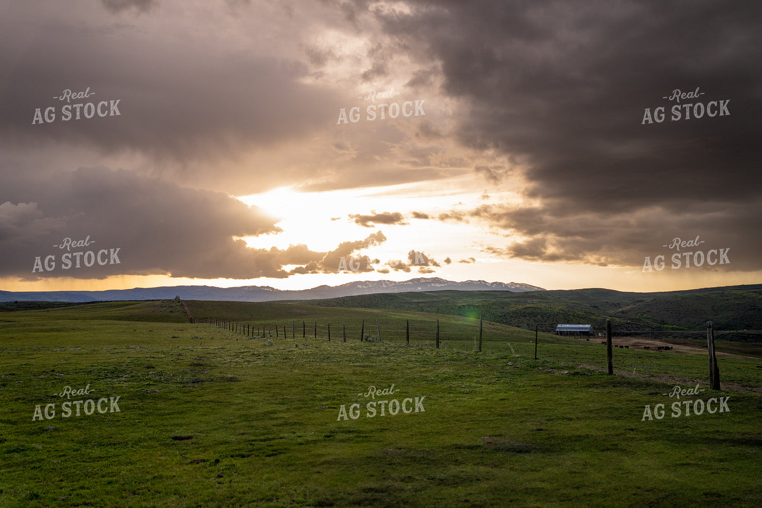Scenic Sunset Over Rolling Hills with Distant Cattle Ranch and Fenced Fields 65284