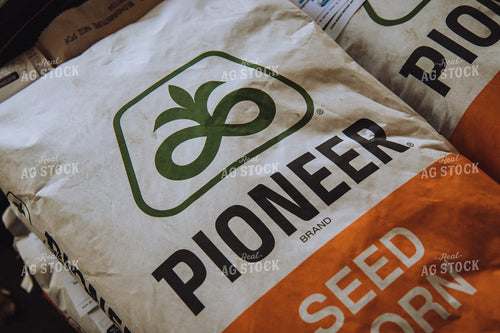 Pioneer Seed Corn 67215