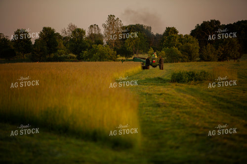 Cutting Hay 4964