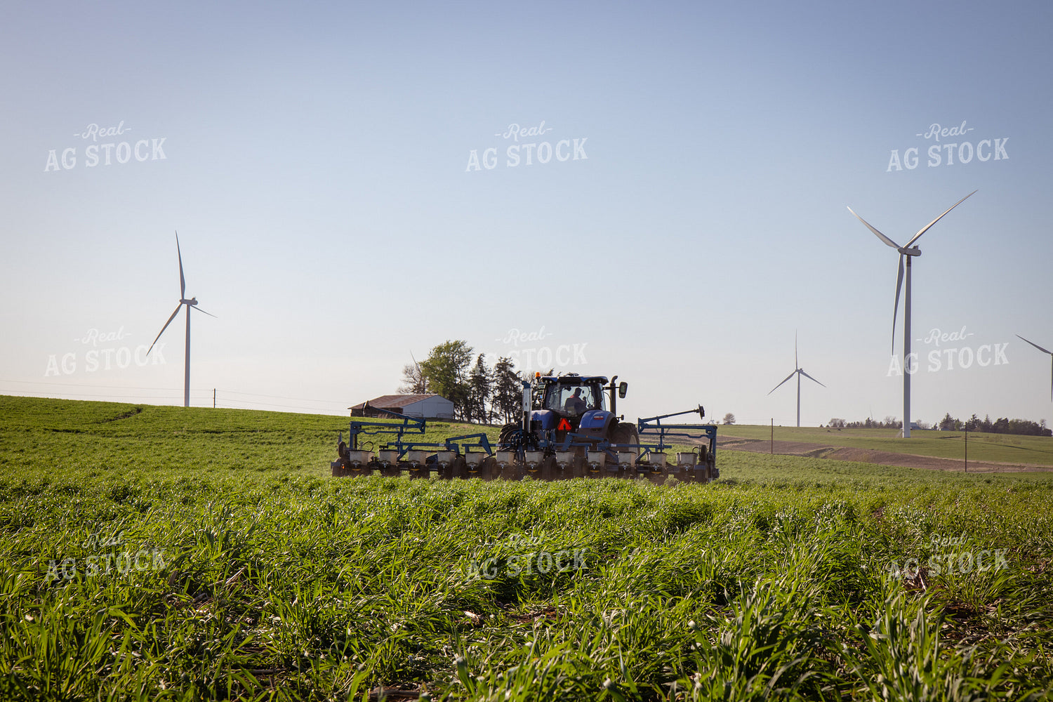 Planting into Cover Crop 268326