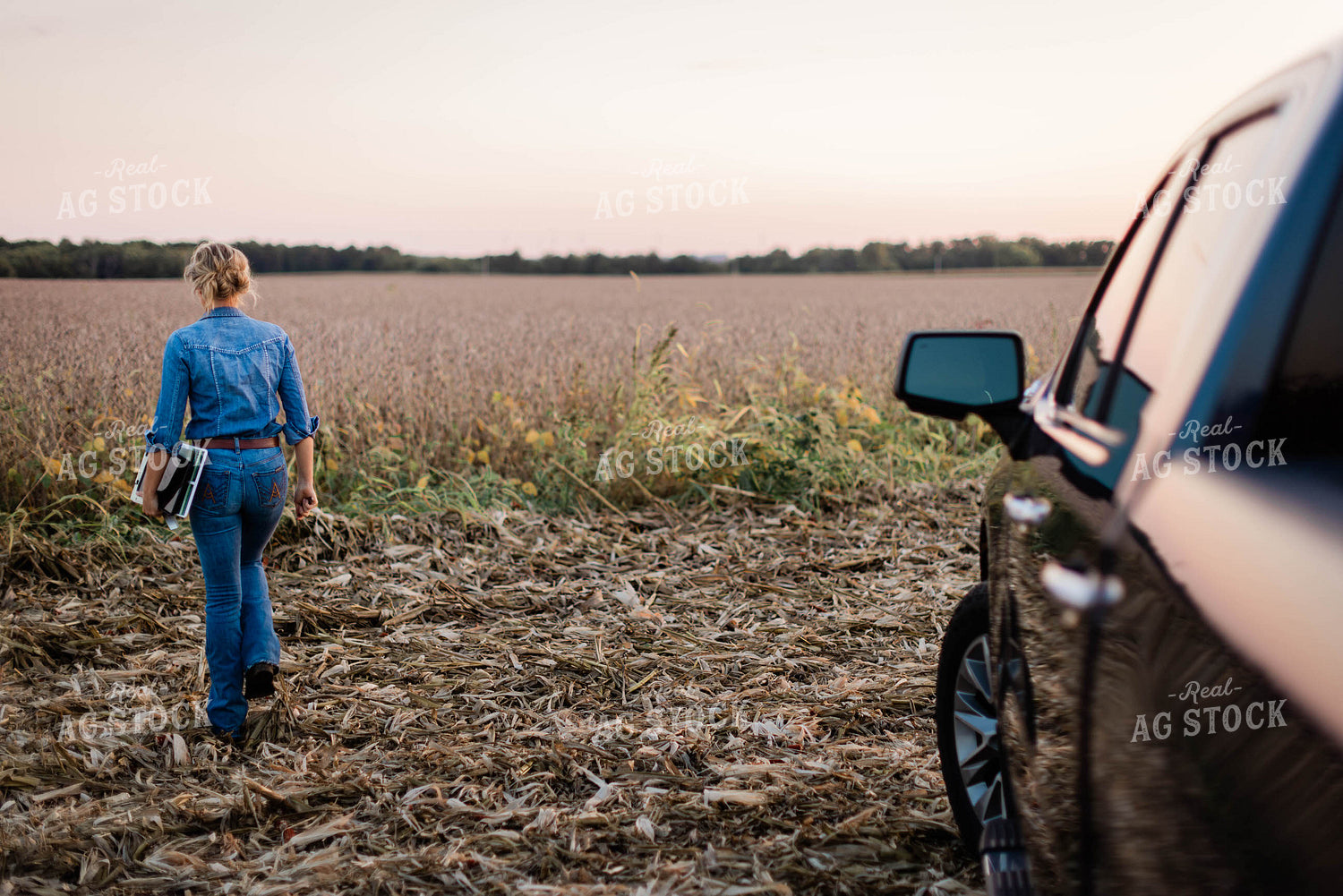 Female Agronomist Checking Beans 8353