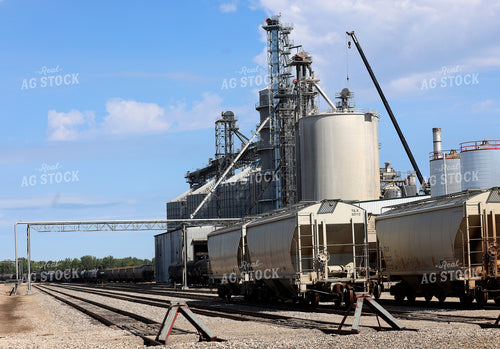 Grain Elevator 141752