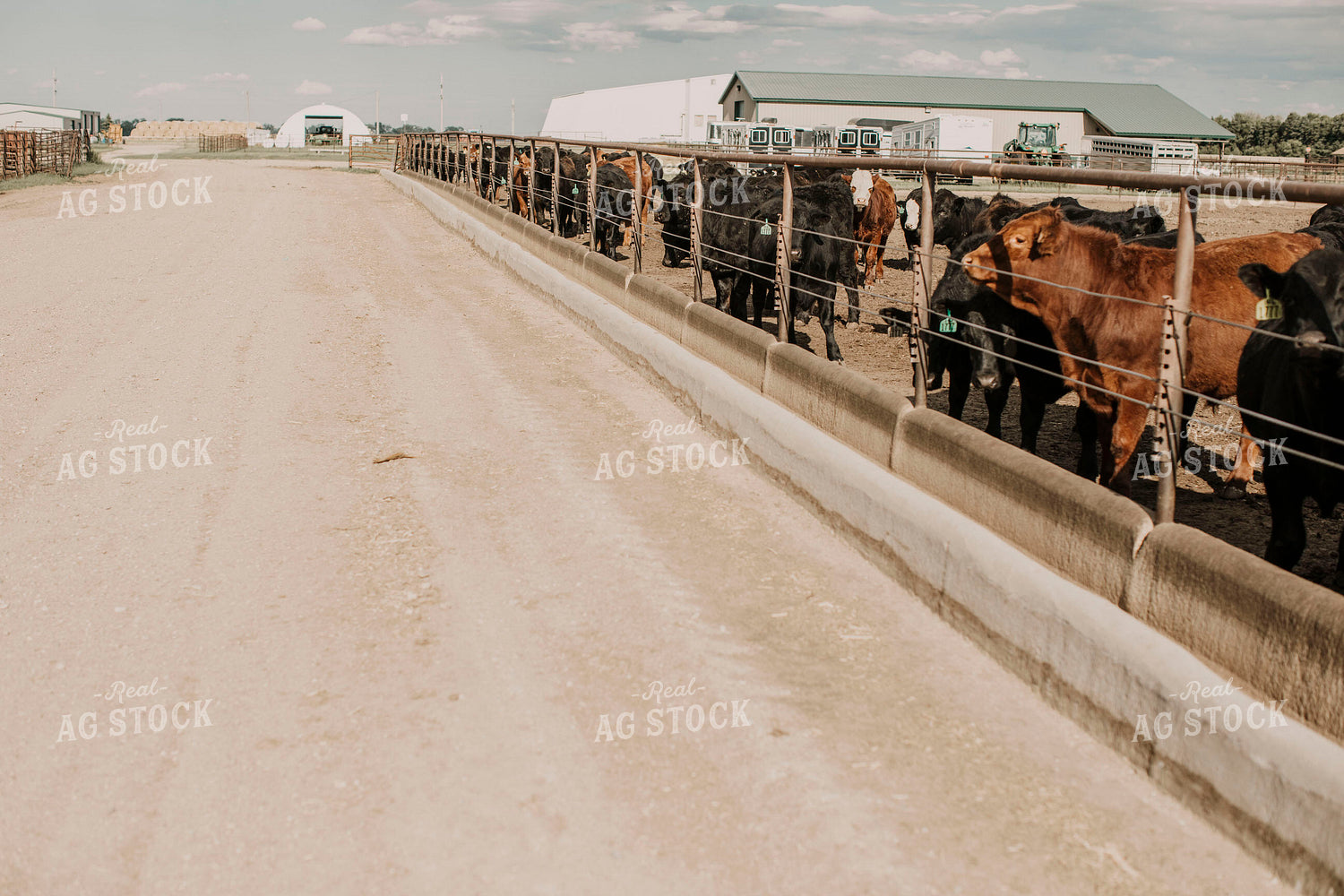 Feedyard 3014