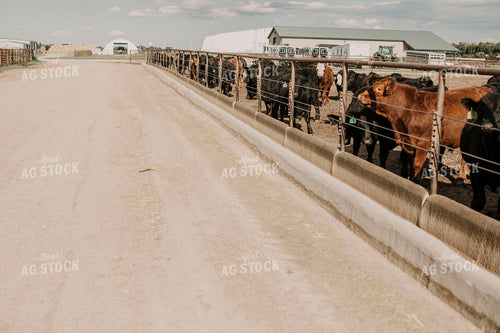 Feedyard 3014