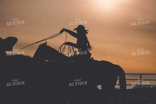 Roping 219009