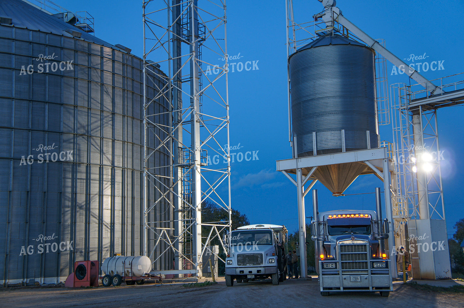 Dumping Grain at Elevator 156025