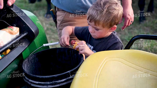 Farmer's Son Playing with an Ear of Corn - 374