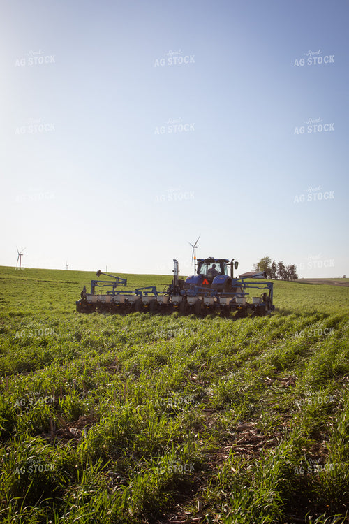 Planting into Cover Crop 268324