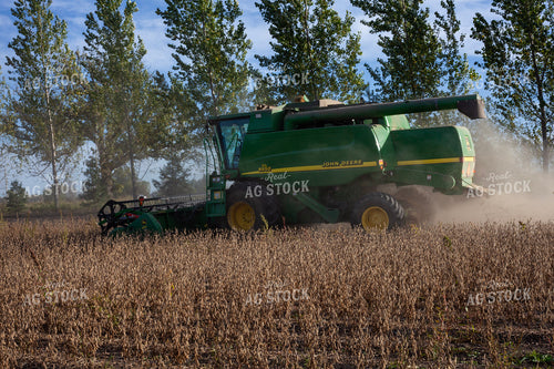 Soybean Harvest 132134