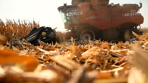Combine Harvesting Corn 25610