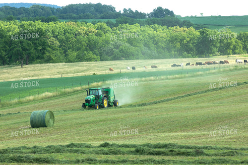 Baling Hay 145023