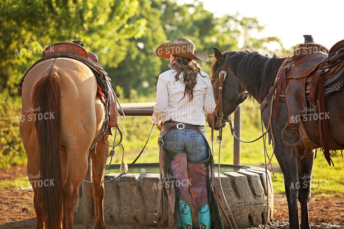 Rancher with Horses 127028
