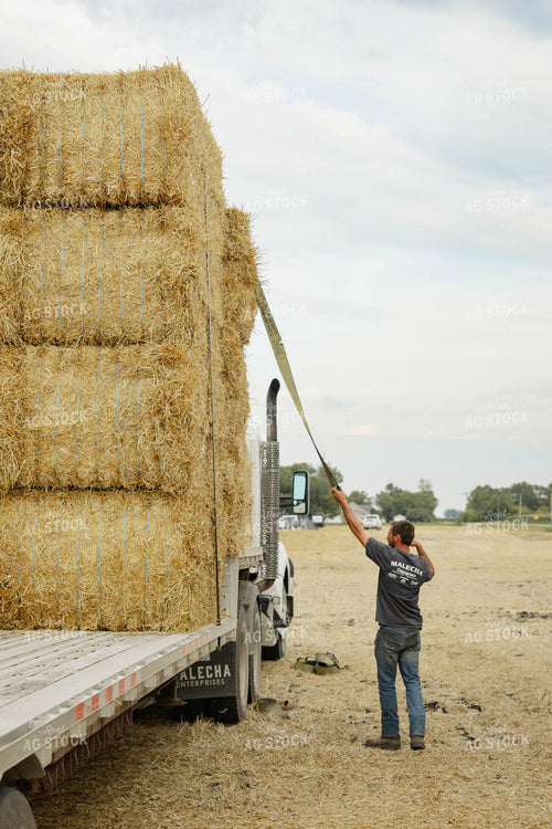 Loading Wheat Straw Bales 296075