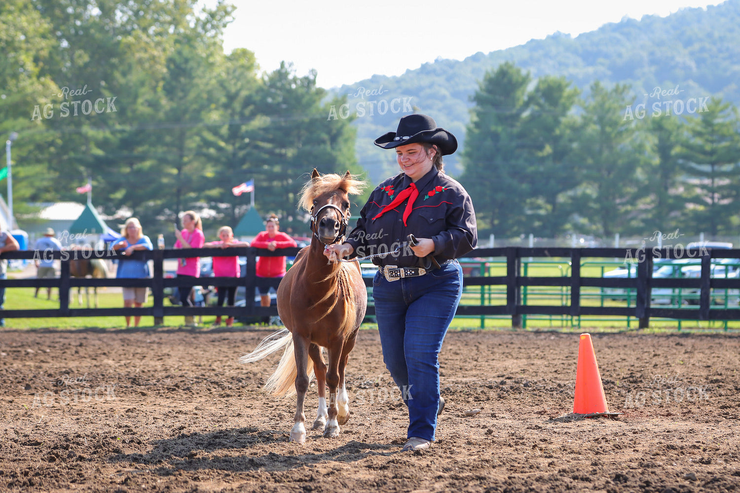4H Kid Showing Horse 52191