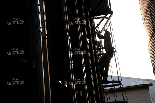 Farmer Climbing Dryer for On-farm Storage 25470