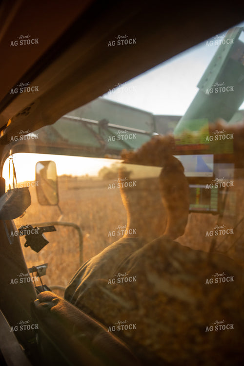 Combine Filling Up With Corn 76362