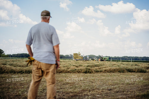 Baling Square Hay Bales 281024
