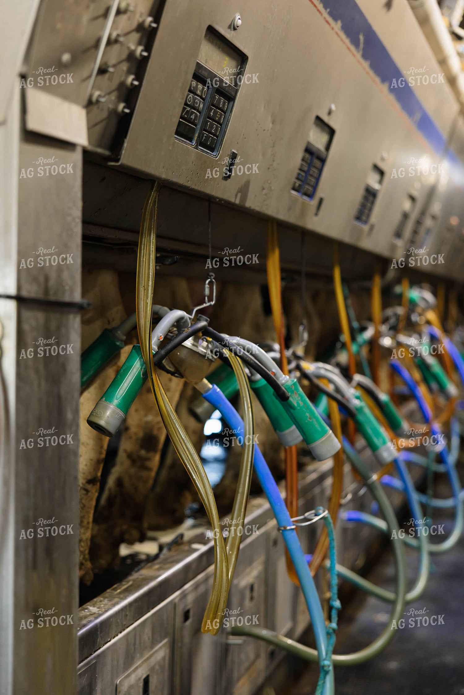 Milking Unit 152741