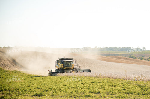 Soybean Harvest 215105