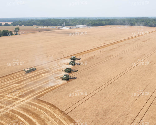 Soybean Harvest 79329