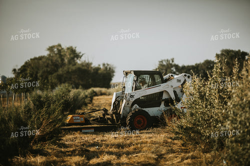 Skid Steer in Nursery 6372