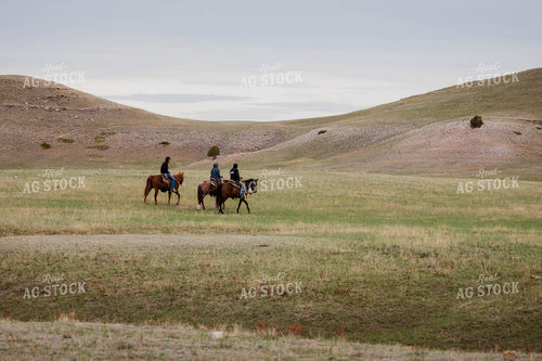 Rancher Rides Horses in Open Pasture 97144