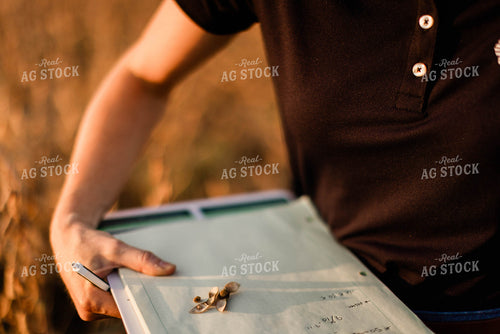 Female Agronomist Checking Beans 8312