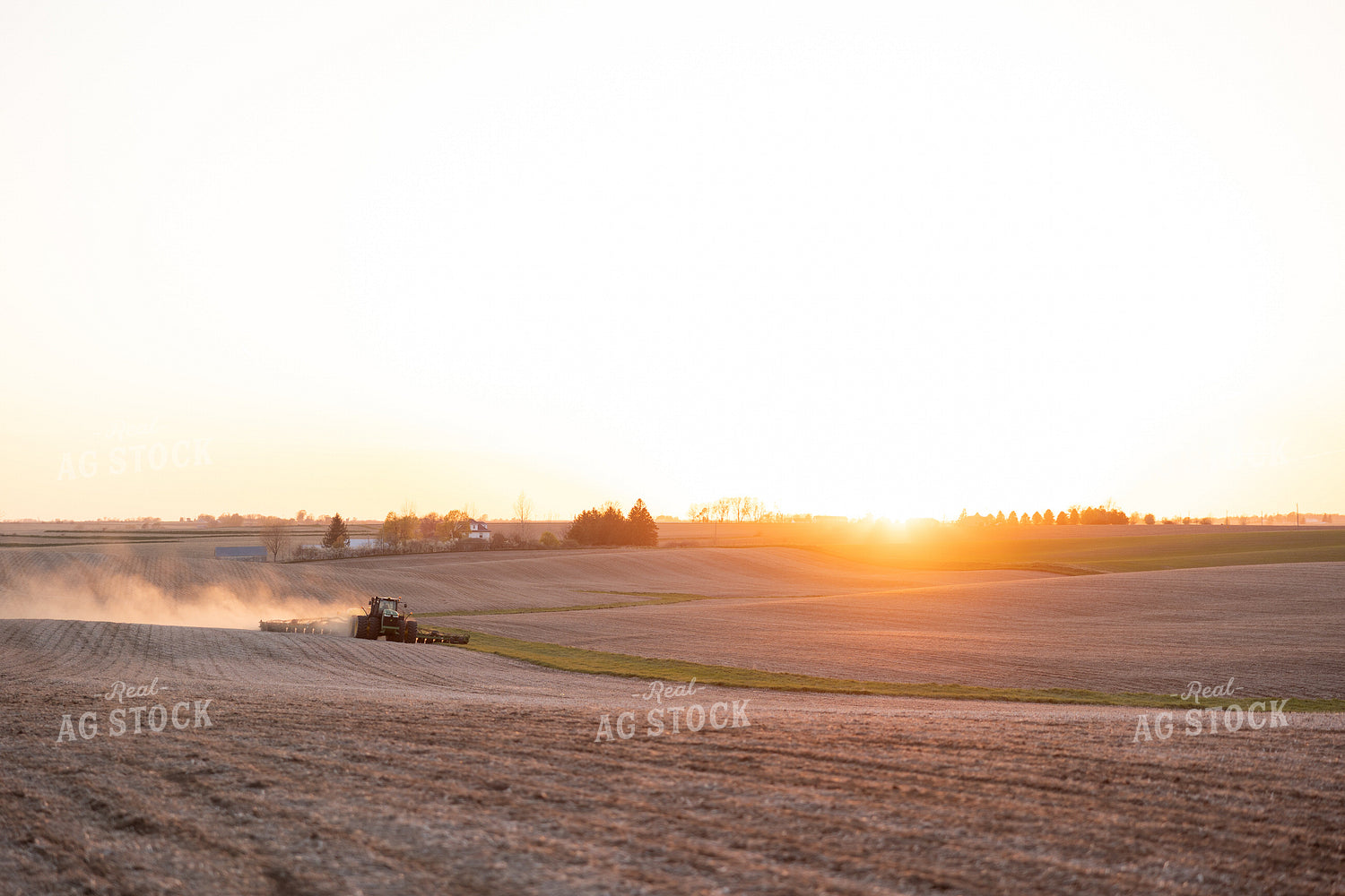 Planting 215055