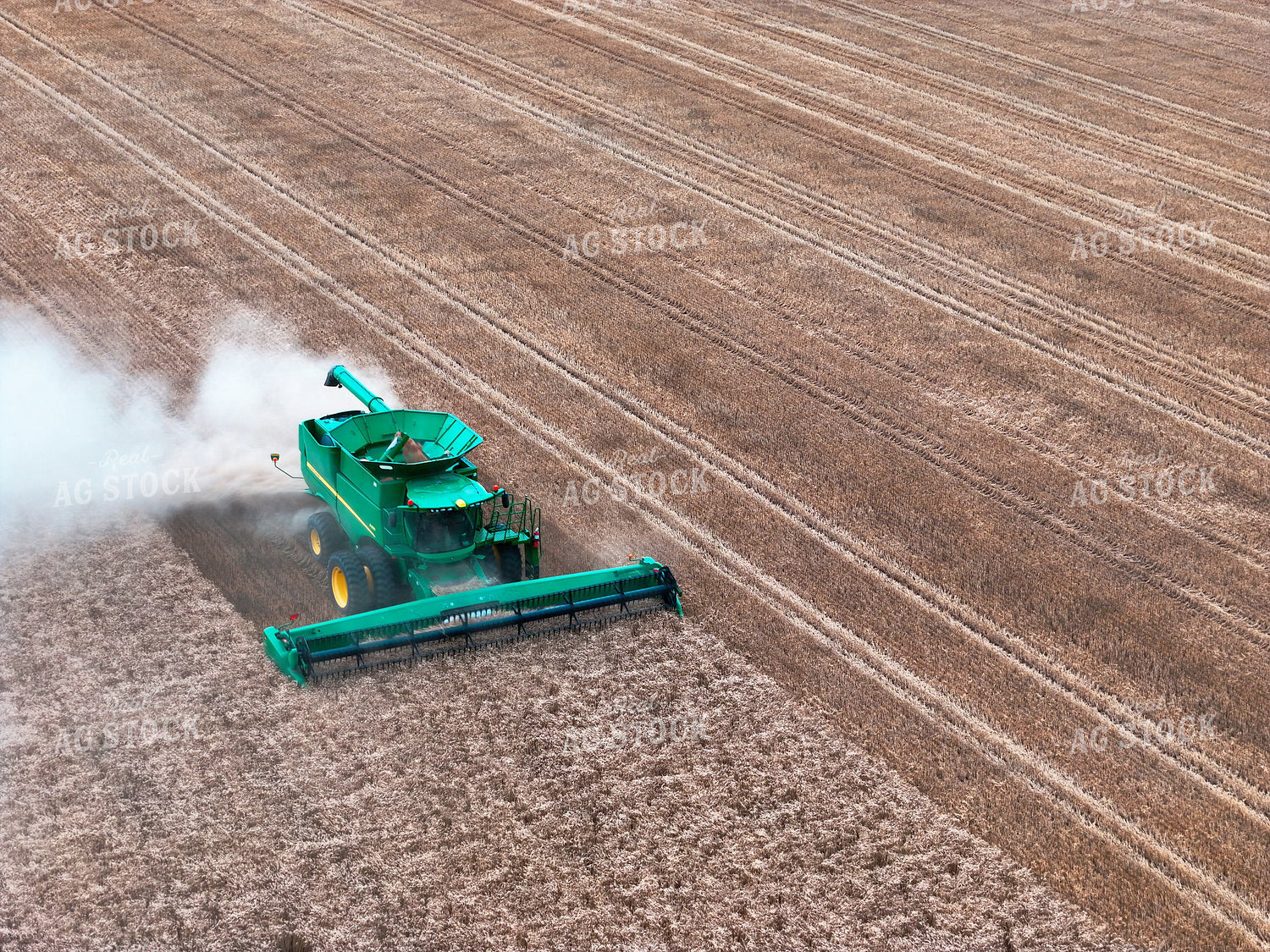 Harvesting Wheat 239594