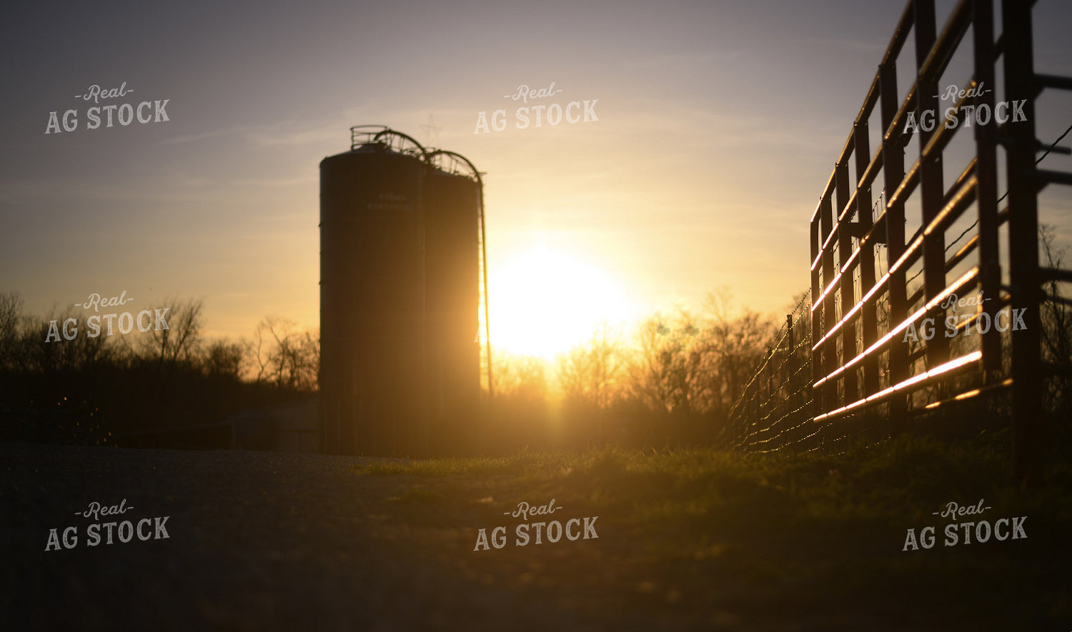 Sunset on the Farm 191026