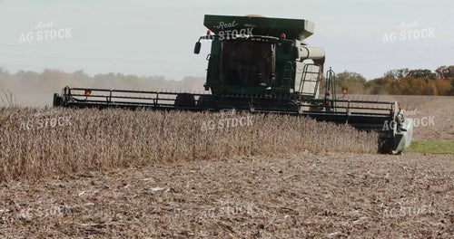 Combine Harvesting Soybeans in Daylight 3943