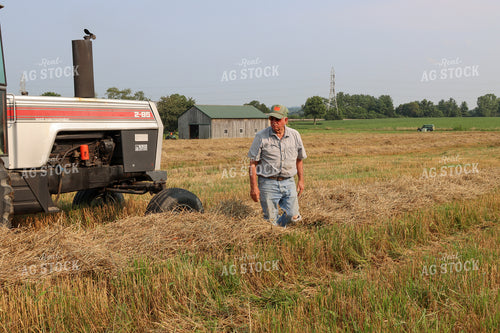 Farmer in Cut Hay Field 52299