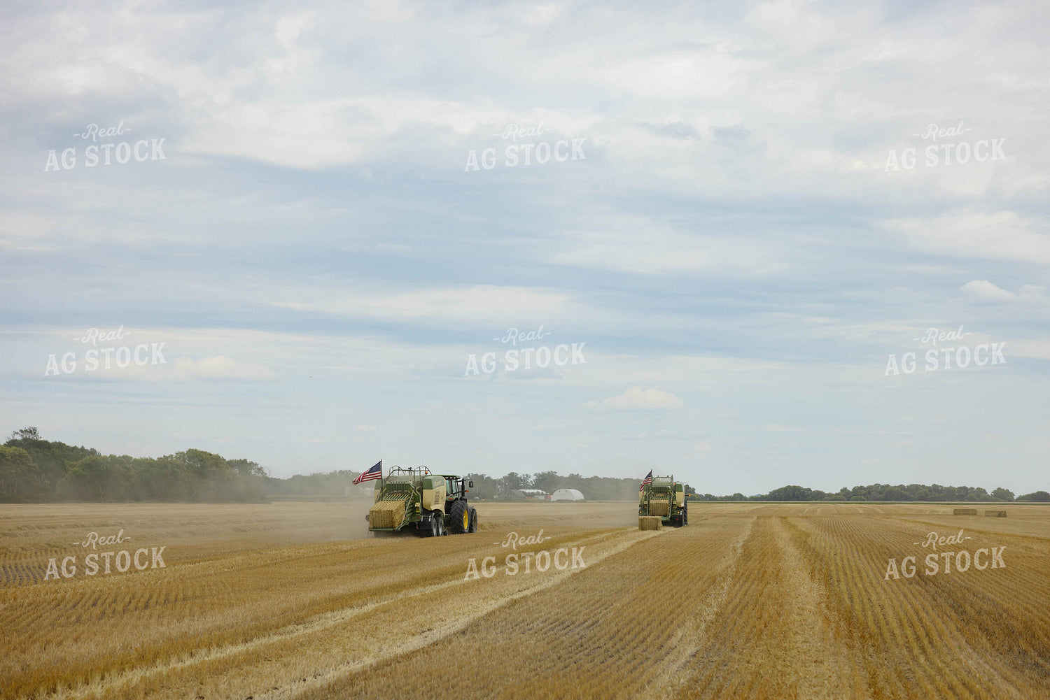 Baling Wheat Straw 296036