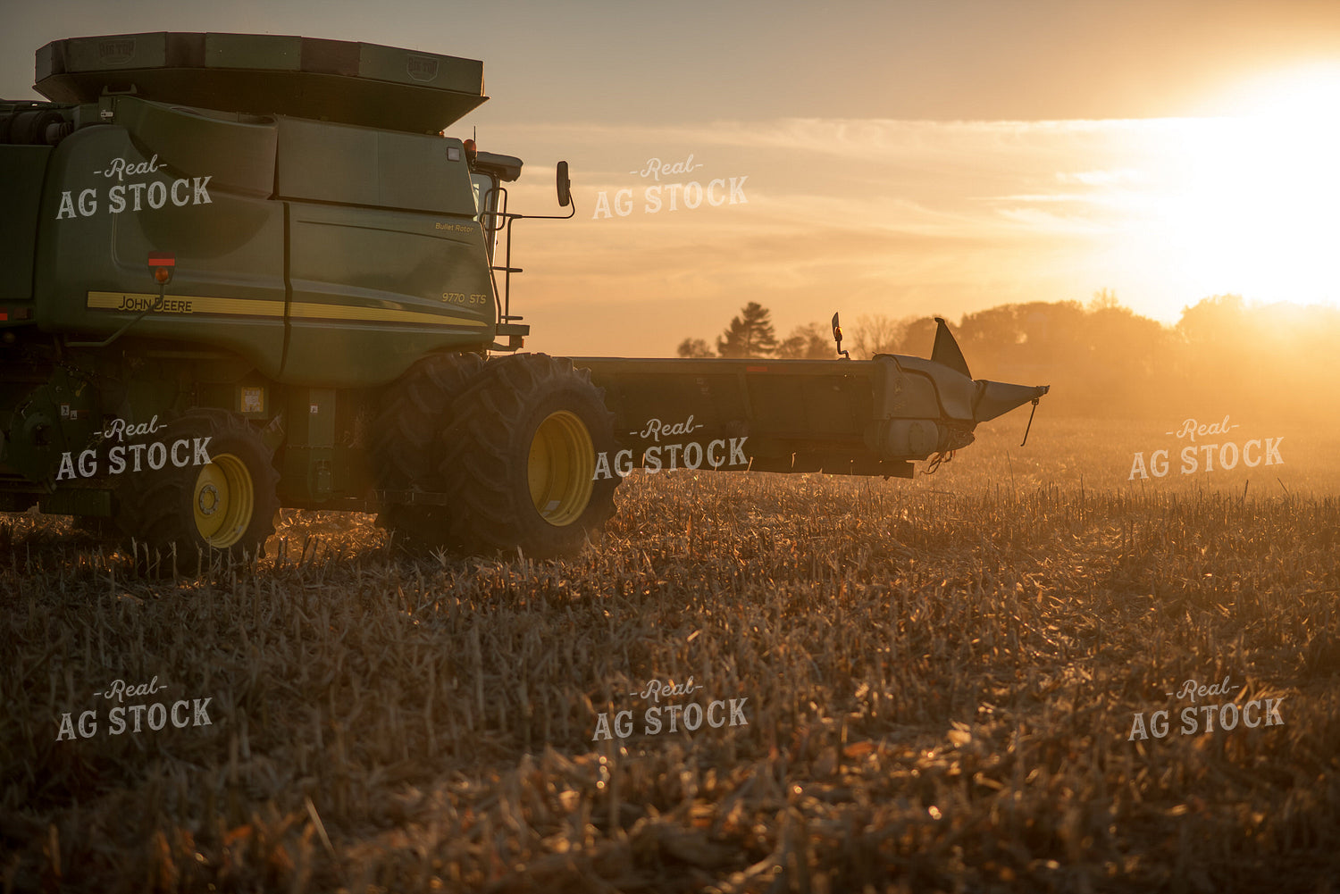 Corn Harvest 76723