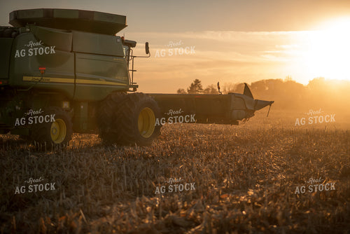 Corn Harvest 76723